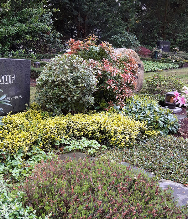 600x700_Gräber_Friedhof