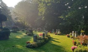 friedhof-sonnenlicht-ruhe